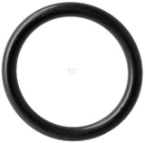 O-ring