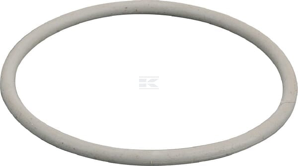 Thermostatdichtung