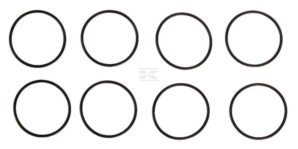 O-Ring Satz  , Filtergehausekopf