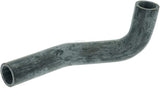 Schlauch