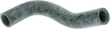 Schlauch