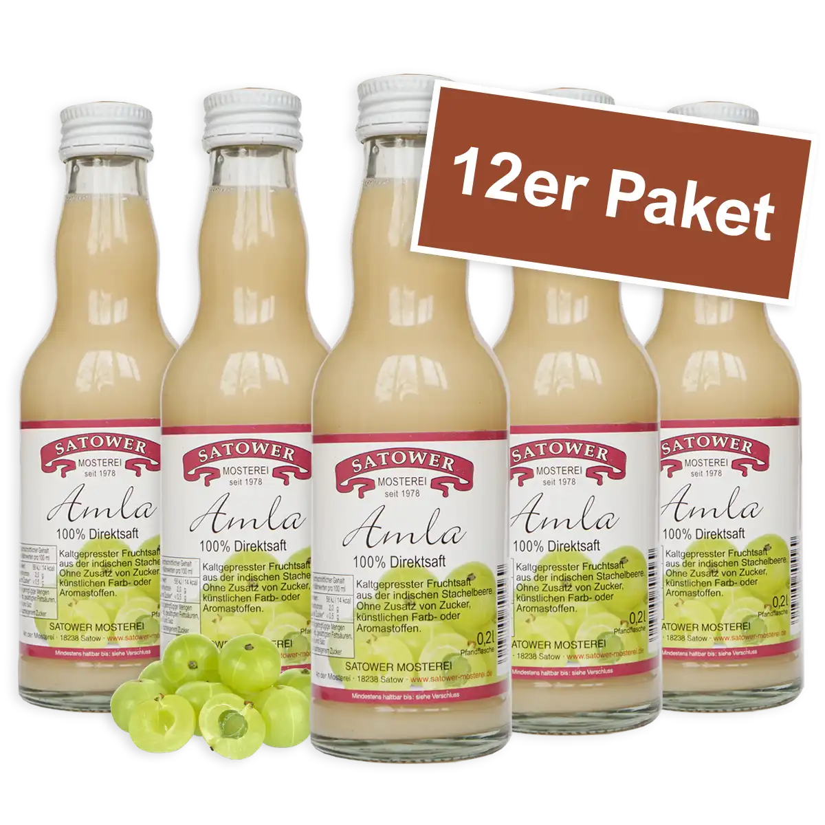 12er Paket Satower Amlasaft – 100 % Direktsaft aus Amla-Beeren in Mehrwegflaschen