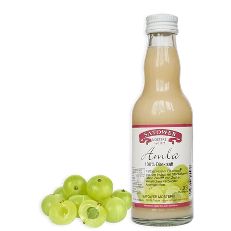 Satower Mosterei 6 x 0,2l Satower Amla Saft (purer Direktsaft) – Vorratspack