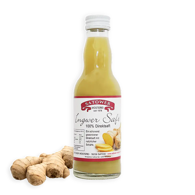Satower Mosterei Satower BIO Ingwer Saft – 100% Direktsaft 0,2l