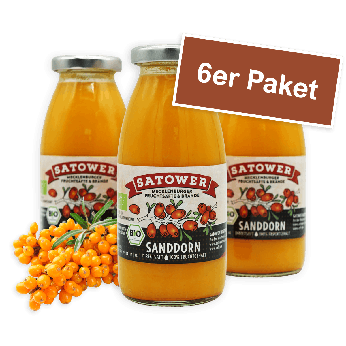 Satower Mosterei 6 x 250ml Satower Sanddornsaft (Direktsaft)