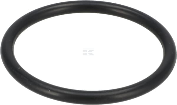 O-Ring