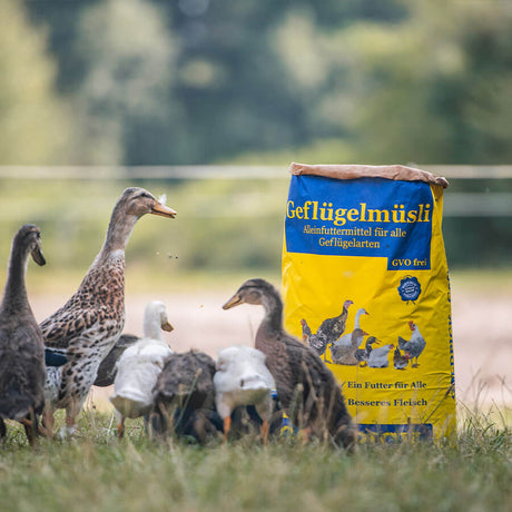 GOLDPICK Geflügelmüsli