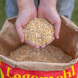 GOLDPICK Legemehl