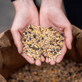GOLDPFERD Powermüsli P13