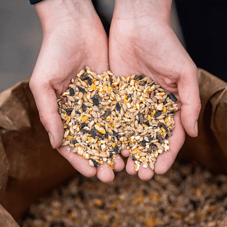 GOLDPFERD Powermüsli P13