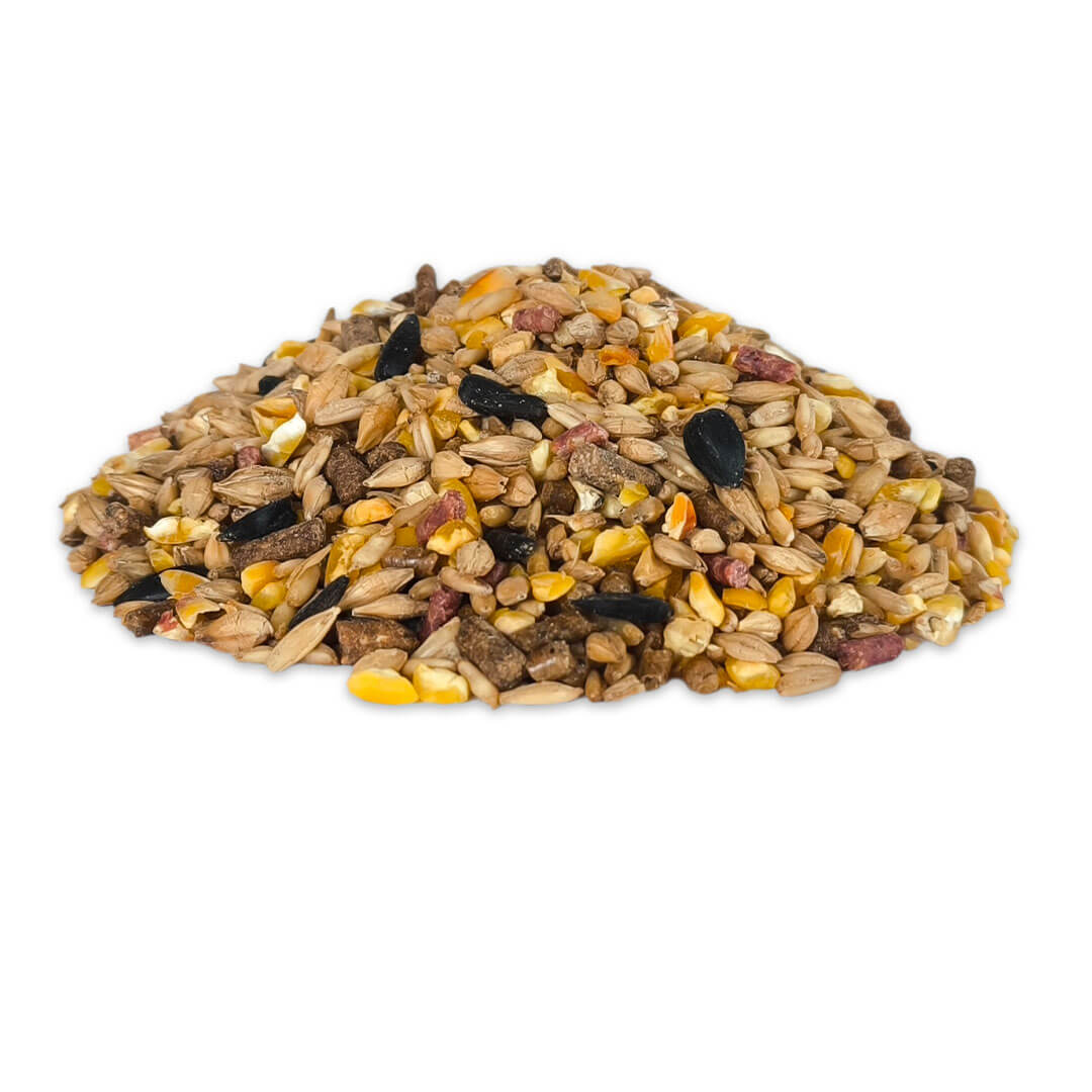 GOLDPFERD Powermüsli P20