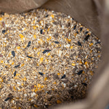 GOLDPFERD Powermüsli P20