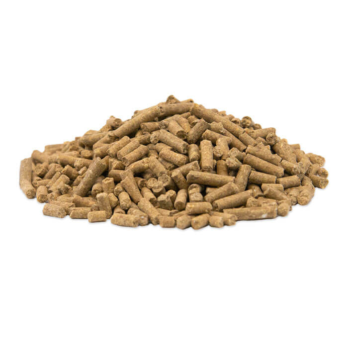 Produktbild vom GOLDPFERD Sorgenfrei Senior Mineral