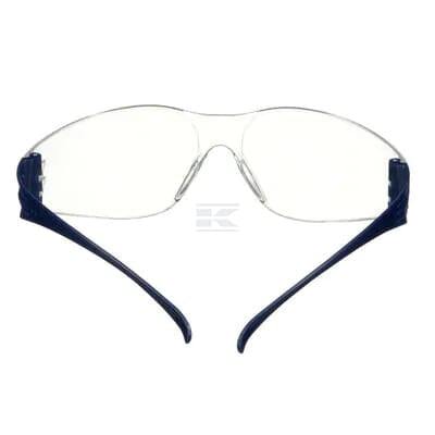 SecureFit 100 Schutzbrille