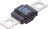 Sicherung, Streifen, 100A,  Blau, 41mm, 1Stk.