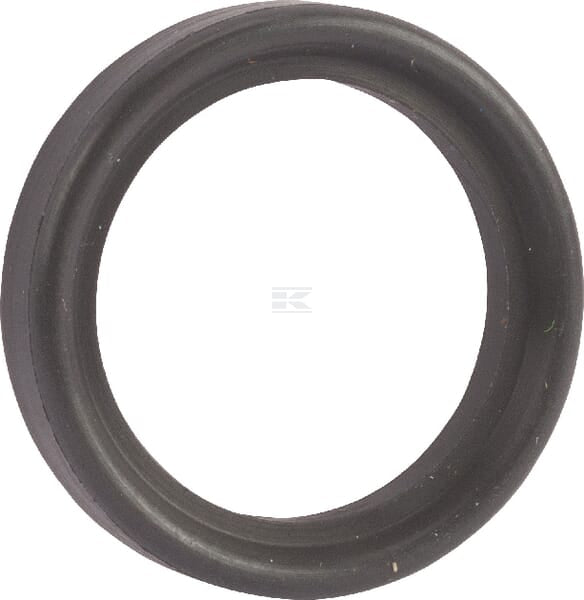 Tri-clamp Dichtg. 3/4" FPM