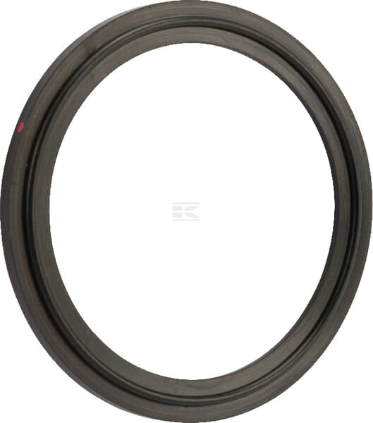 Tri-clamp Dichtg. 3" NBR