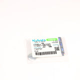 Kubota PLUG