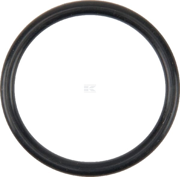 O-Ring Wasserpumpe