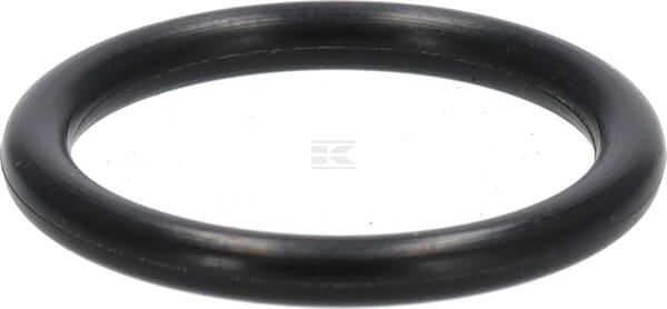 O-Ring