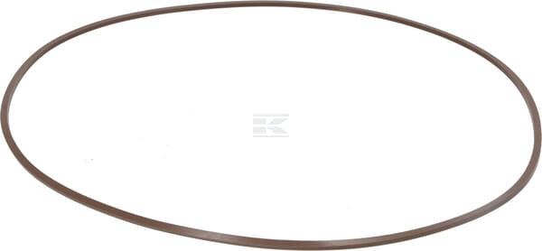 Bremse O-Ring