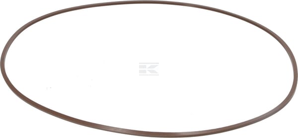 Bremse O-Ring