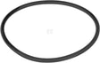 Spule O-Ring