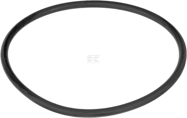 Spule O-Ring