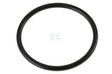 Spule O-Ring