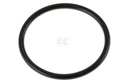Spule O-Ring