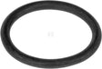 Spule O-Ring
