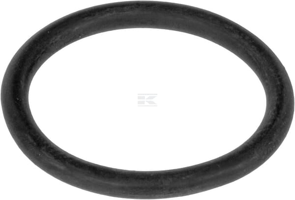 Spule O-Ring