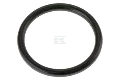 Spule O-Ring