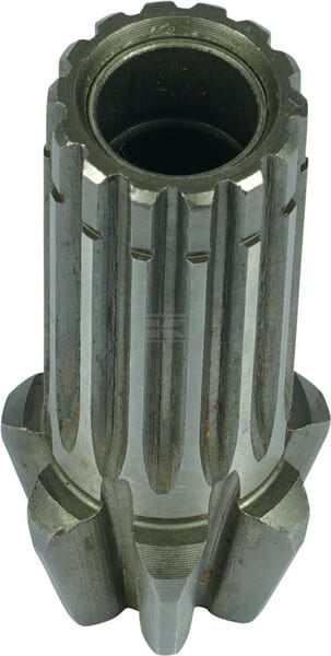 Ritzel