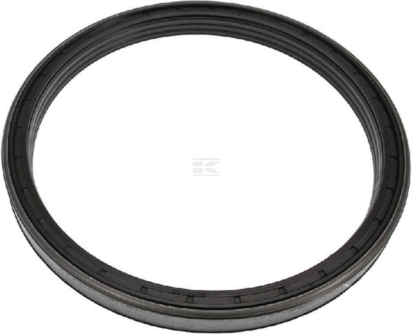 Dichtungsring