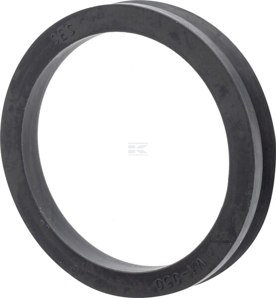 Dichtring