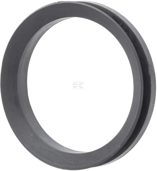 Dichtring