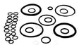 O-Ring-Satz