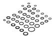 O-Ring-Satz