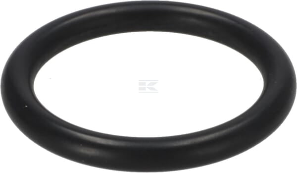 O-Ring Ölpumpe