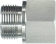 Anschlussstück M/F 3/4" BSPx1" BSP SS
