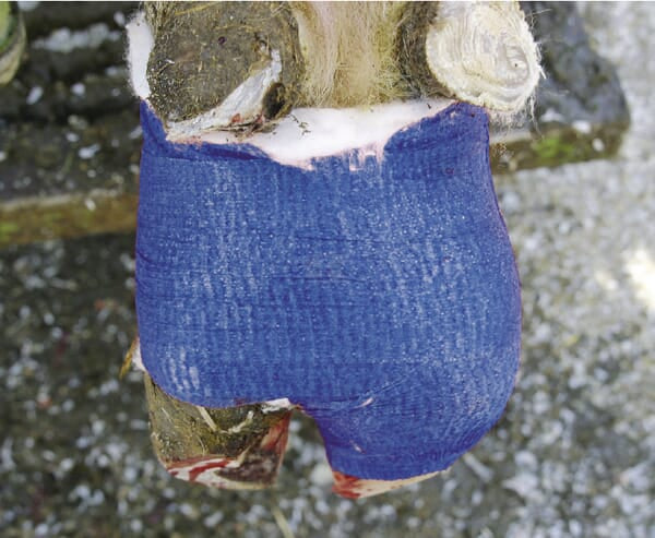Bandage blau 7,5cm