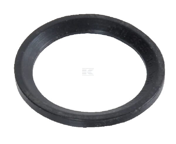 Dichtring 1" BSP