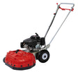 Westermann WKB 330 Loncin (Wildkrautbürste)