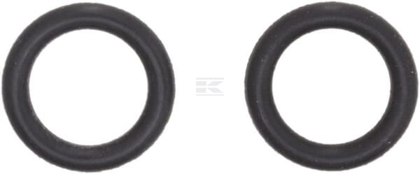 O-Ring