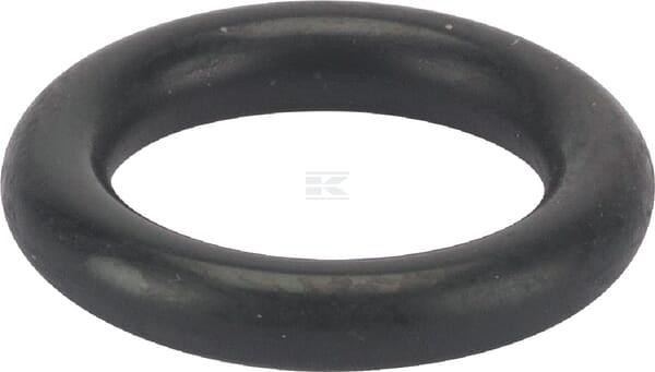 O-Ring