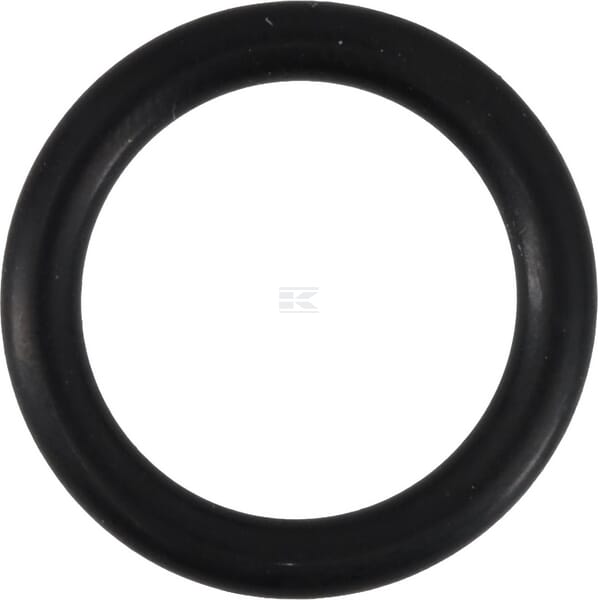 O-Ring