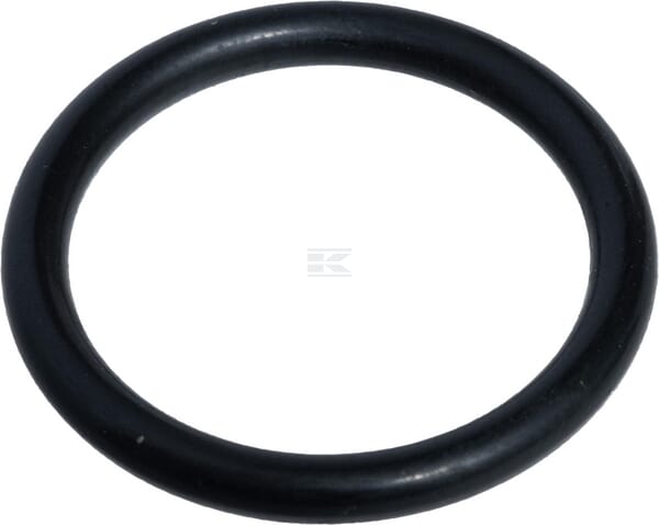 O-Ring