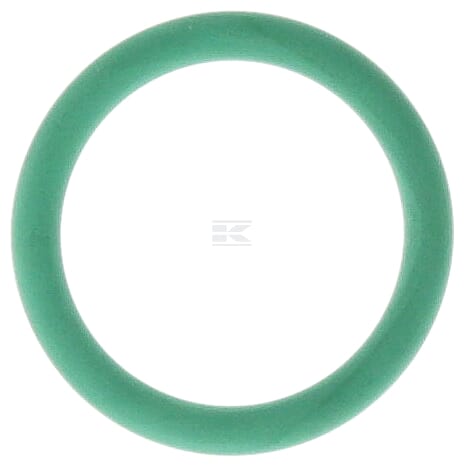 O-Ring