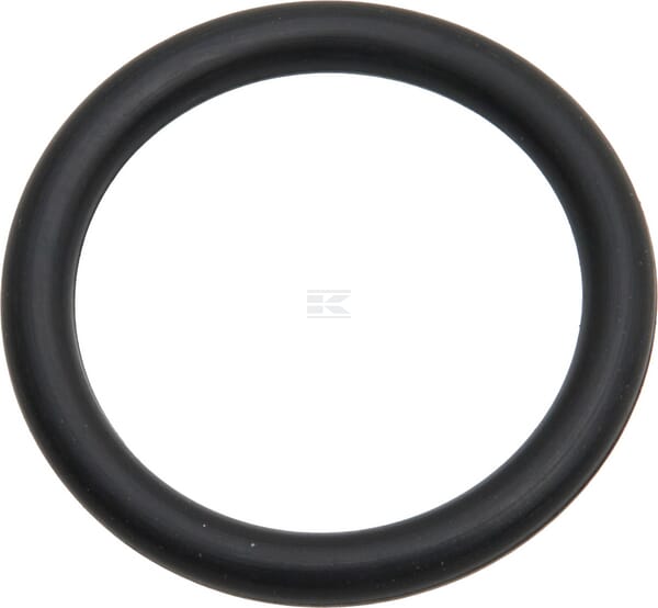 O-Ring